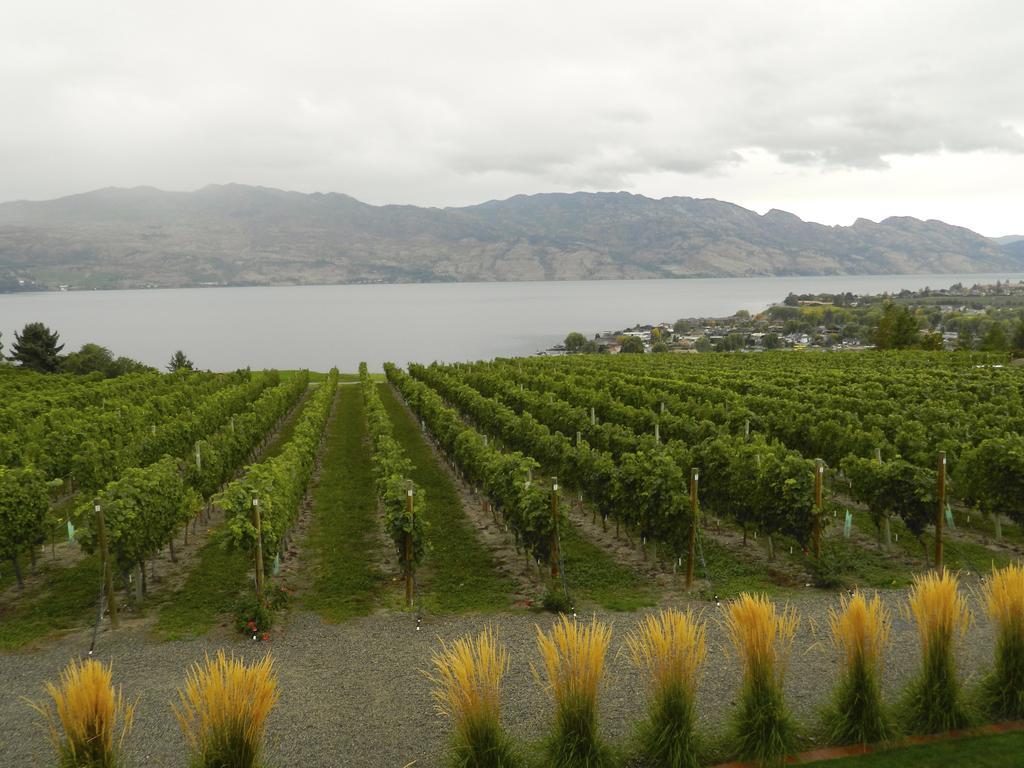 Winedownhere - Lic. 75806 Kelowna Eksteriør bilde